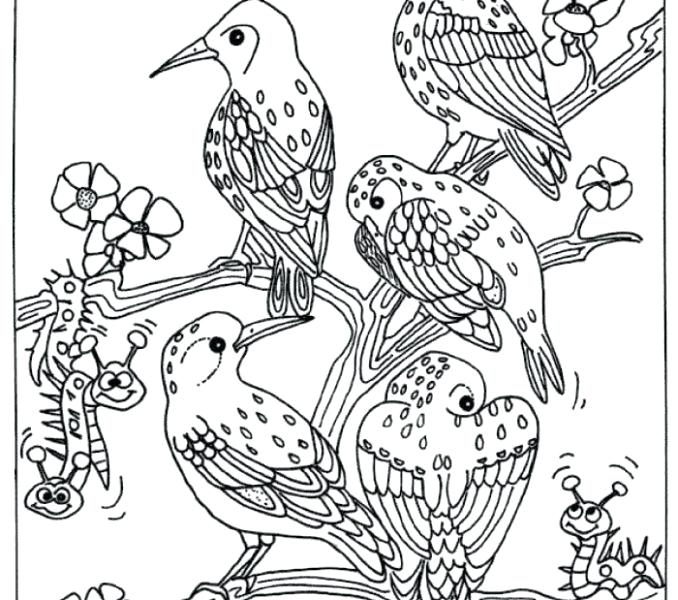 Birds And Flowers Coloring Pages at GetDrawings | Free download