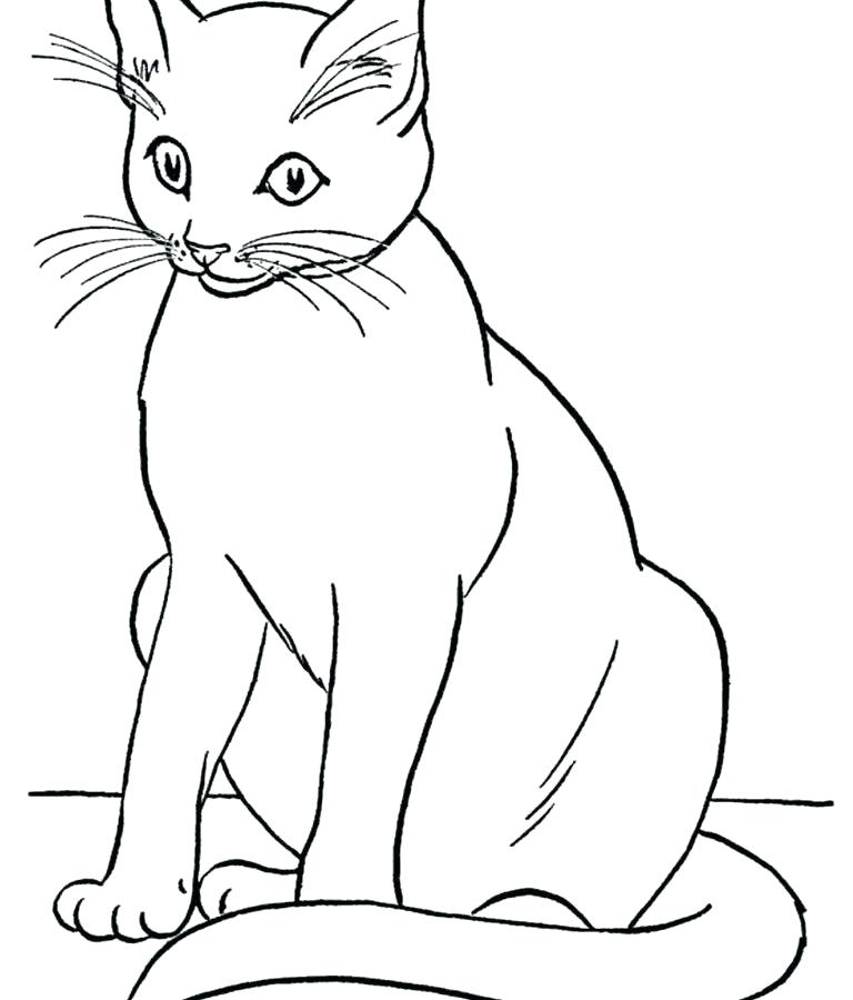 Halloween Coloring Pages Black Cat - Hd Football
