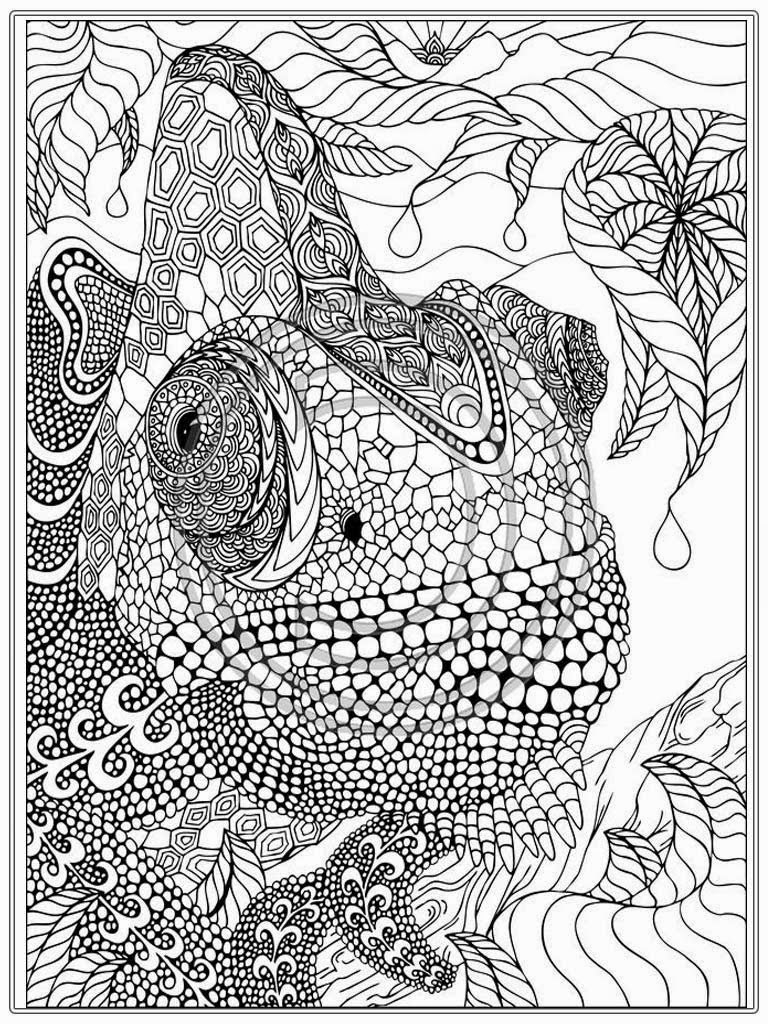 Blank Coloring Pages For Adults At GetDrawings Free Download