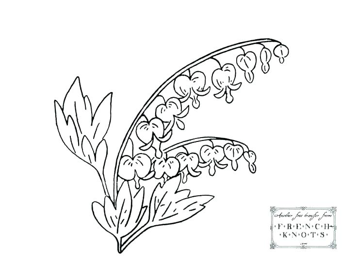 Bleeding Heart Coloring Pages At Getdrawings Free Download