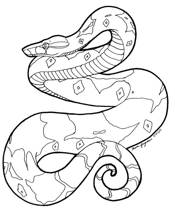 boa constrictor snake coloring page