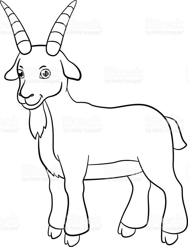 Boer Goat Coloring Pages at GetDrawings | Free download