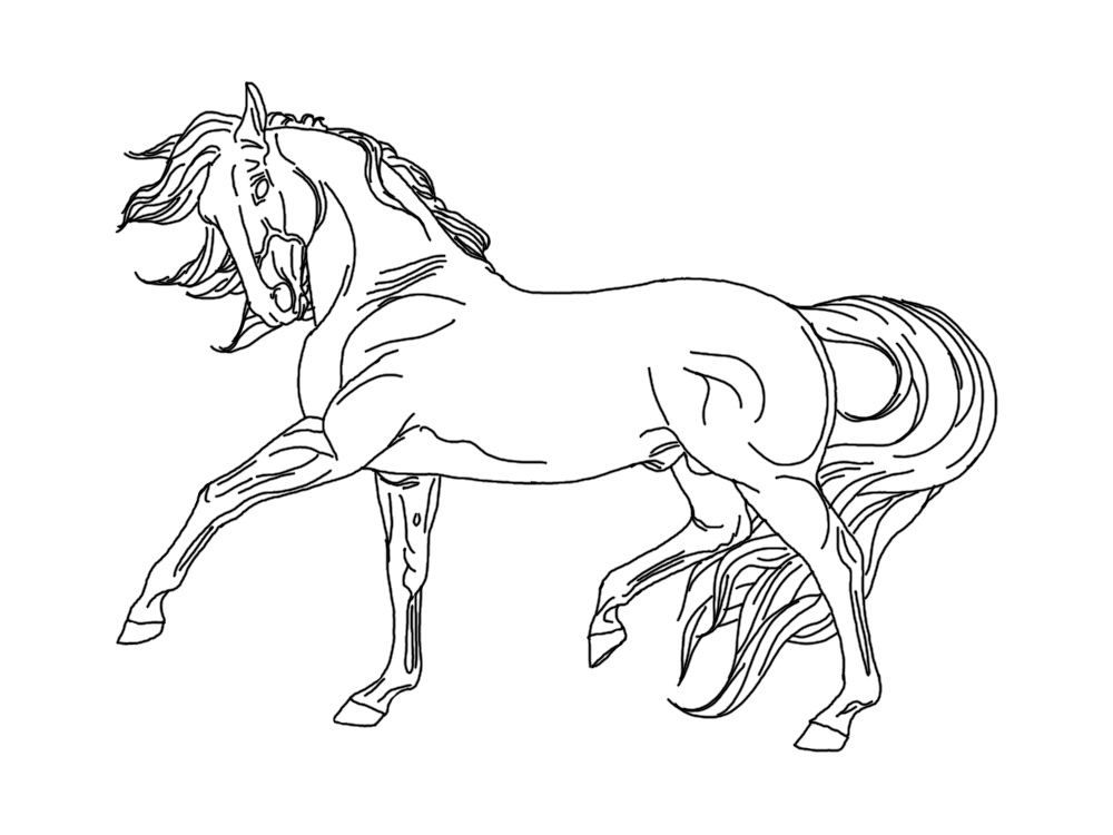 Breyer Horse Coloring Pages at GetDrawings Free download