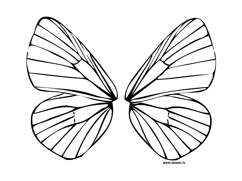Butterfly Wings Coloring Pages at GetDrawings | Free download