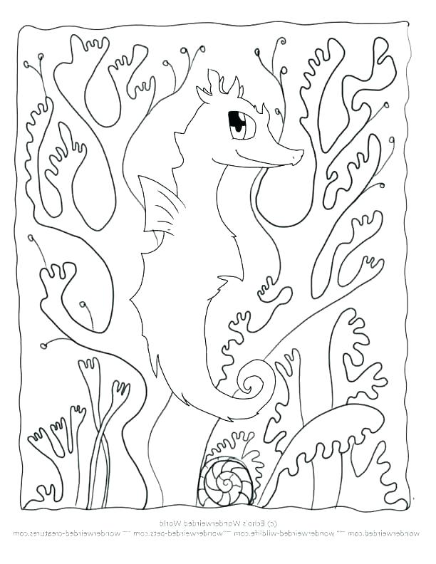Camouflage Coloring Pages Printable at GetDrawings | Free download