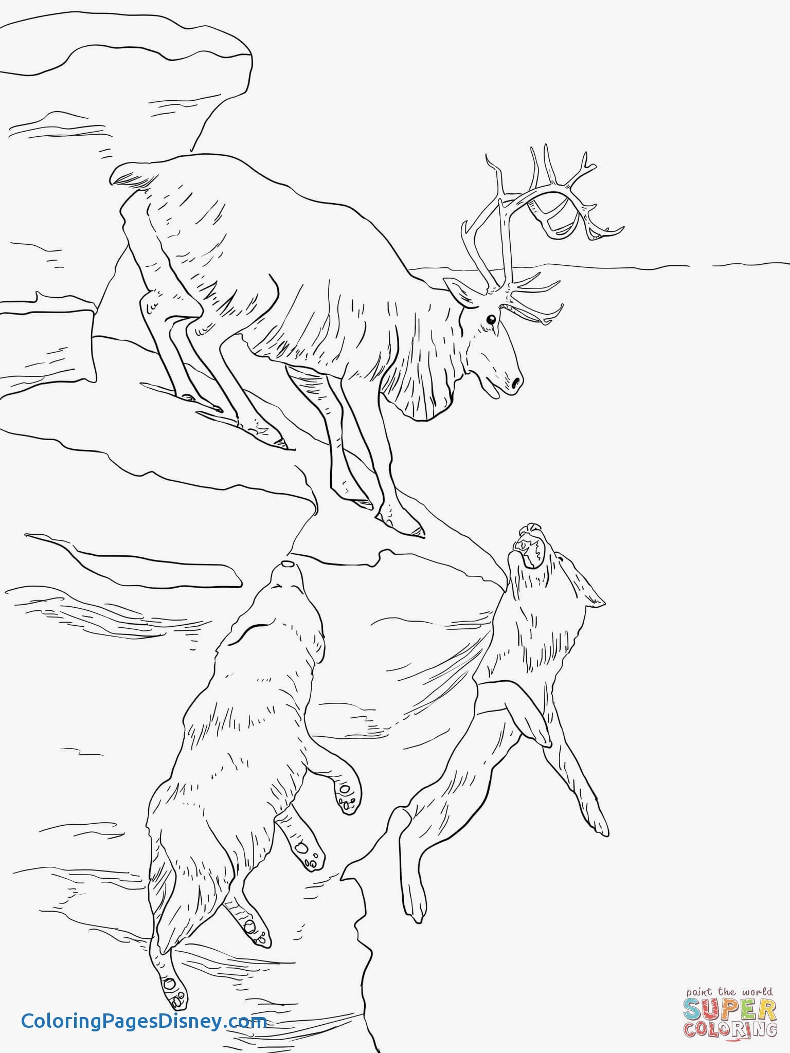 Раскраски охота на лося