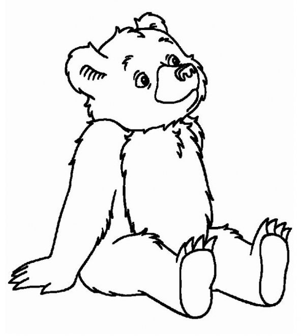 Cartoon Bear Coloring Pages At Getdrawings Free Download