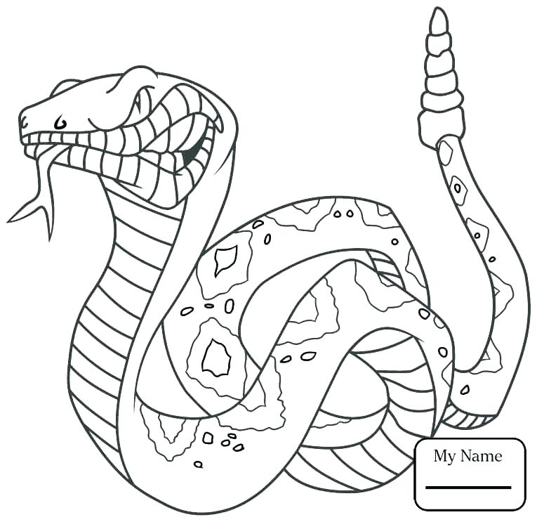 The best free Reptile coloring page images. Download from ...