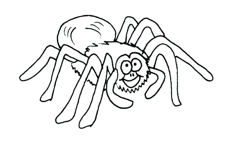 Cartoon Spider Coloring Pages at GetDrawings | Free download