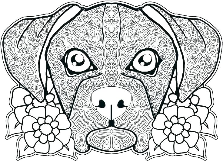 Cat And Dog Coloring Pages Free at GetDrawings | Free download