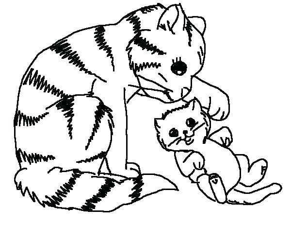 Coloring pages kids: Cat And Dog Coloring Sheet