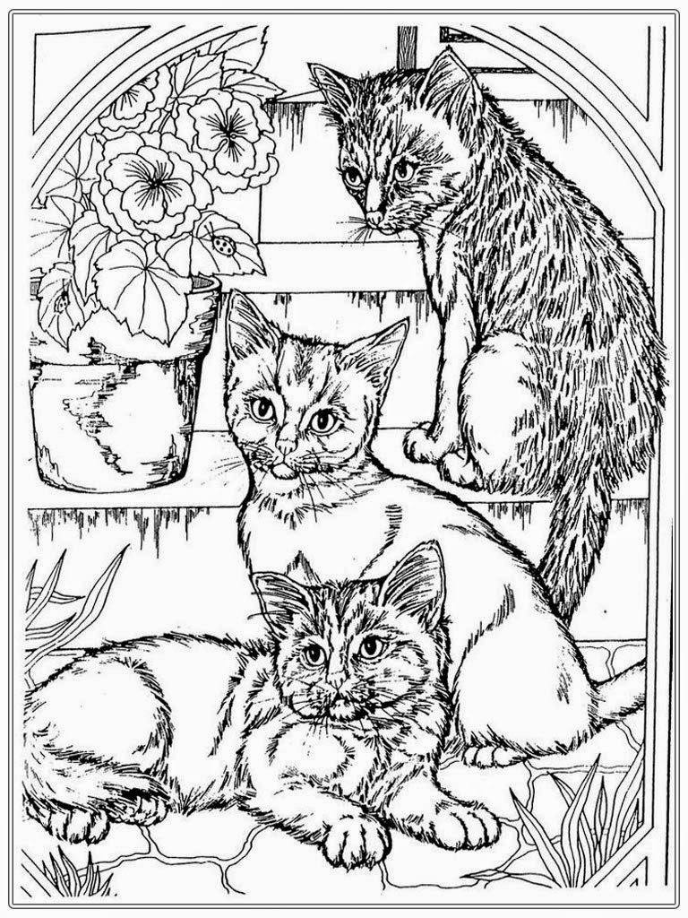 Cat And Dog Coloring Pages Free at GetDrawings | Free download