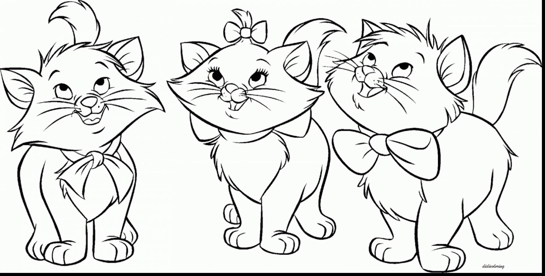 Cat Coloring Pages at GetDrawings | Free download