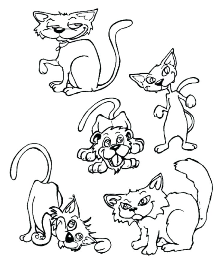 Cat In The Hat Coloring Pages Pdf at GetDrawings.com ...
