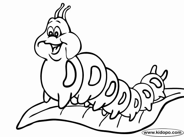 Caterpillar And Butterfly Coloring Pages at GetDrawings | Free download