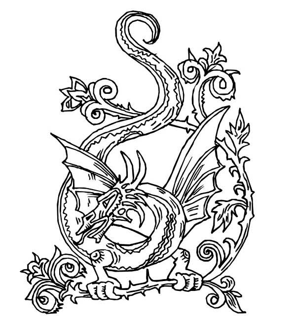 Celtic Dragon Coloring Pages At Getdrawings Free Download