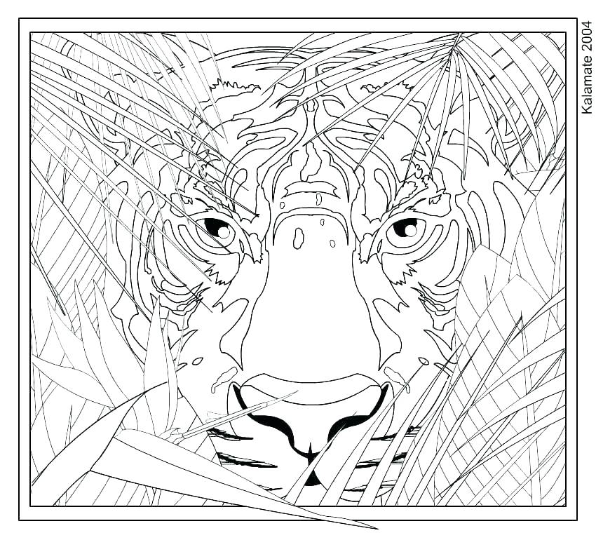 Challenging Coloring Pages at GetDrawings | Free download