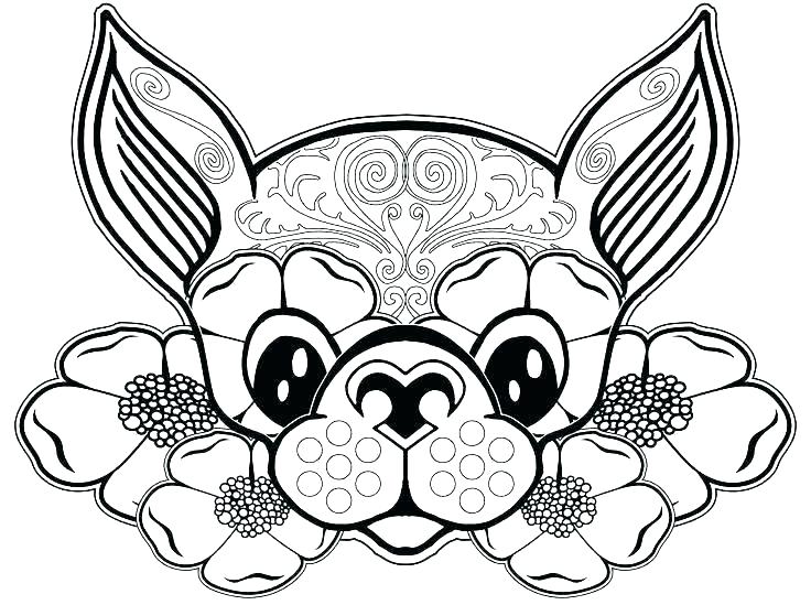 chihuahua-coloring-pages-at-getdrawings-free-download