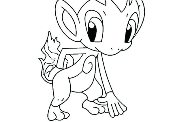 Chimchar Coloring Page At Getdrawings Free Download