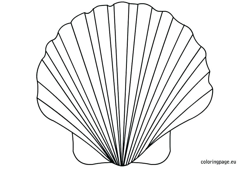 Clam Coloring Page at GetDrawings | Free download