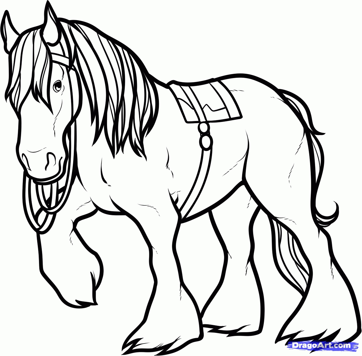 Clydesdale Horse Coloring Pages At GetDrawings Free Download