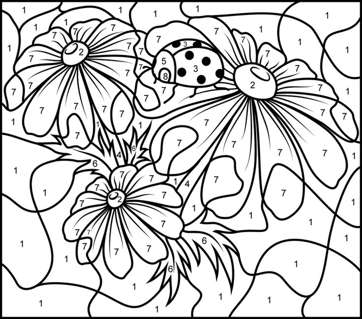 Color By Number Coloring Pages For Adults at GetDrawings ...