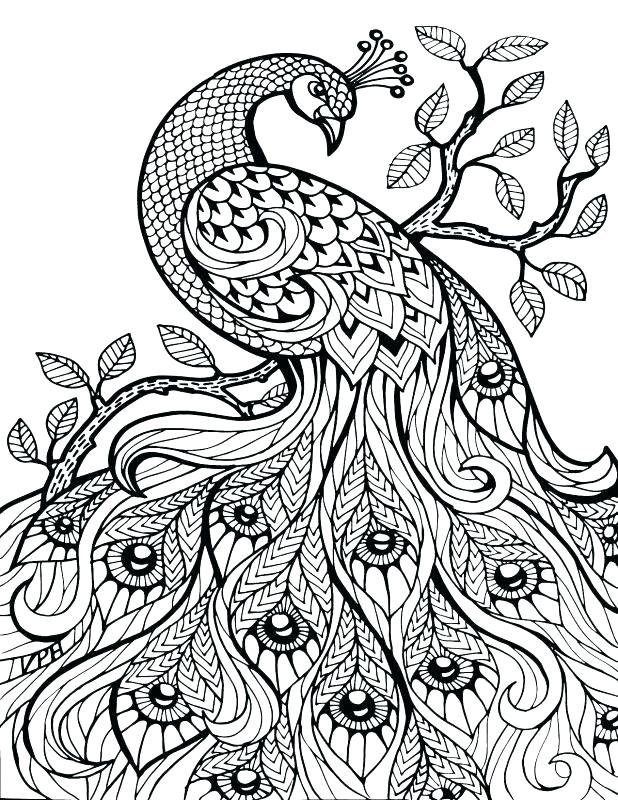 Color By Number Coloring Pages For Adults At GetDrawings Free Download