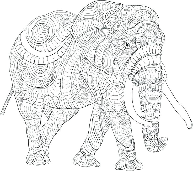 Coloring Pages For Adults Elephants at GetDrawings | Free ...