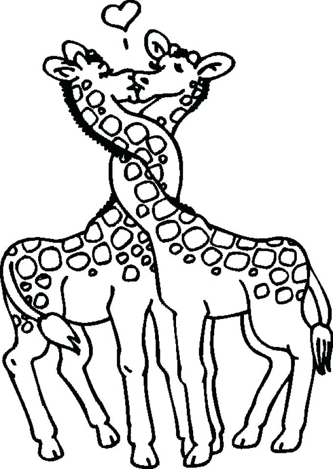 Coloring Pages For Adults Giraffe at GetDrawings | Free download