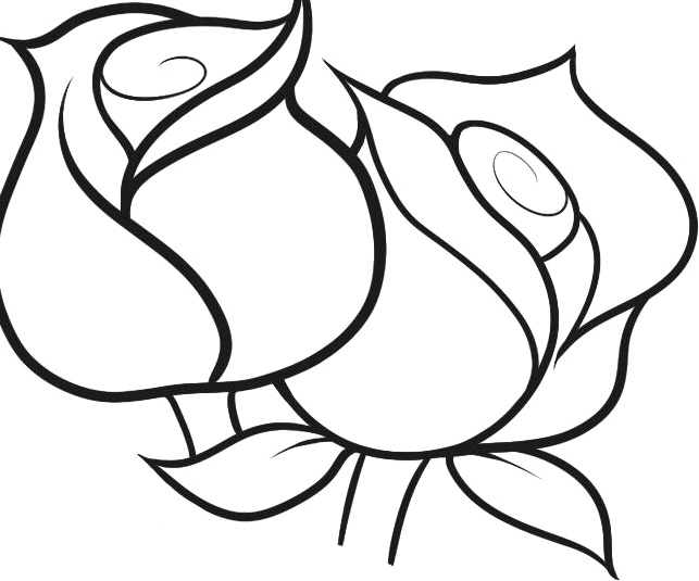 Coloring Pages For Adults Roses At Getdrawings Free Download