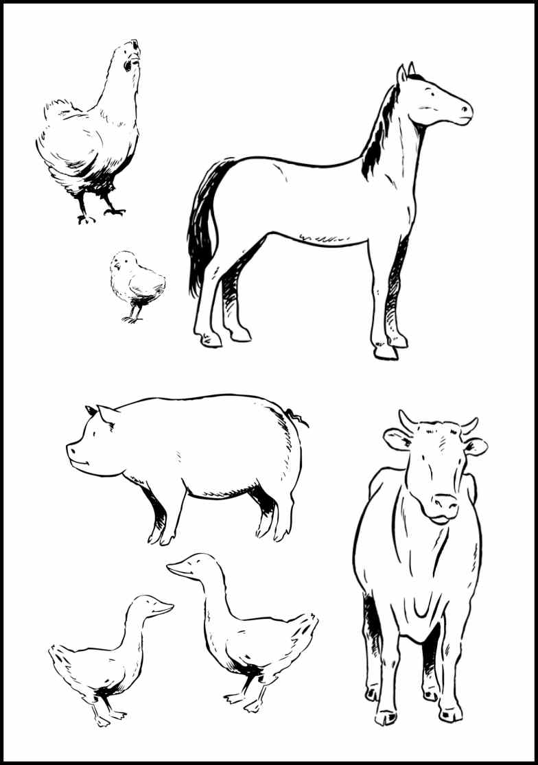 Featured image of post Farm Animal Coloring Pages For Kids