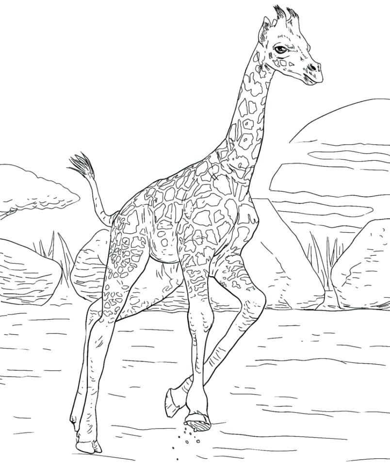 Coloring Pages For Older Students at GetDrawings | Free ...