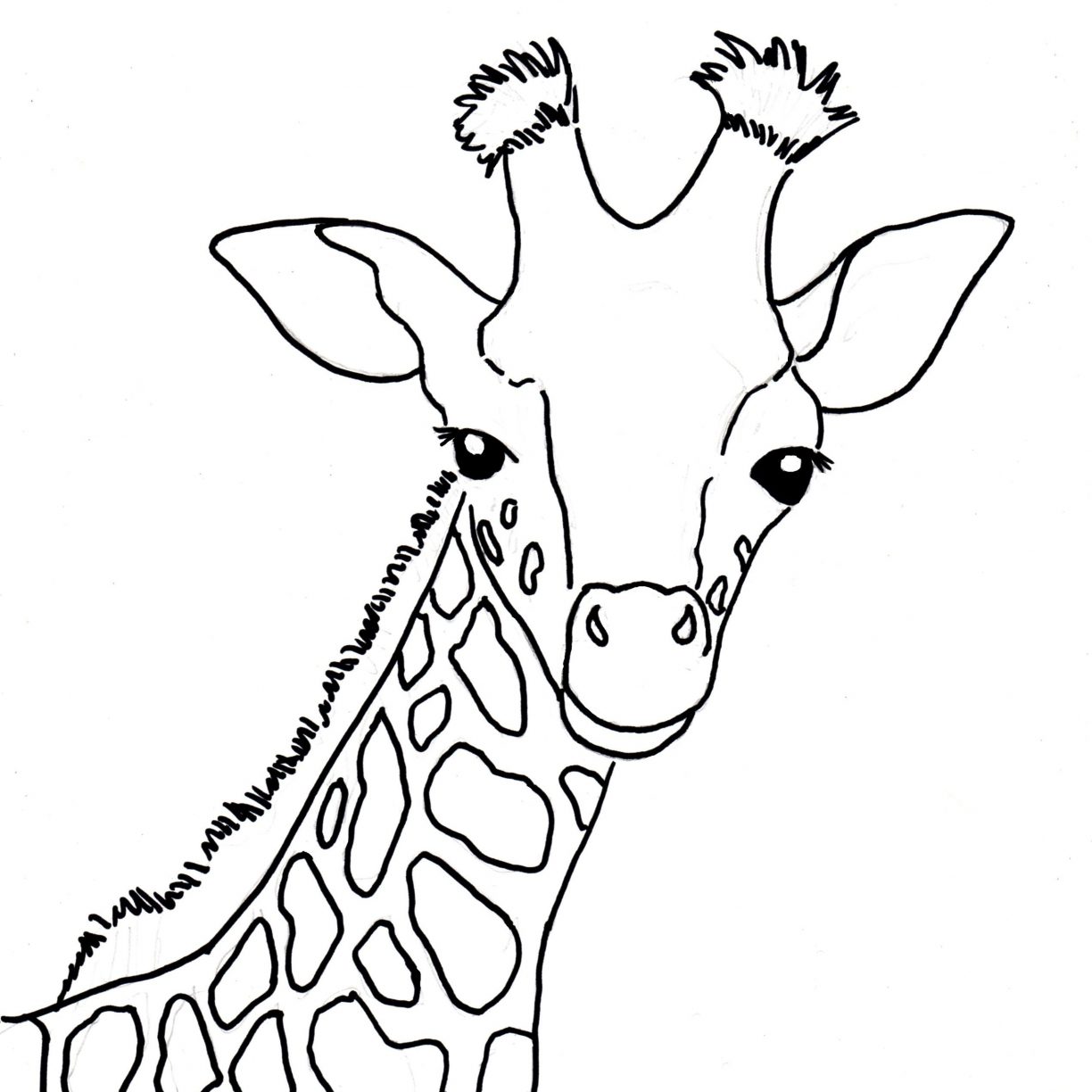 301 Unicorn Baby Giraffe Coloring Pages with Animal character