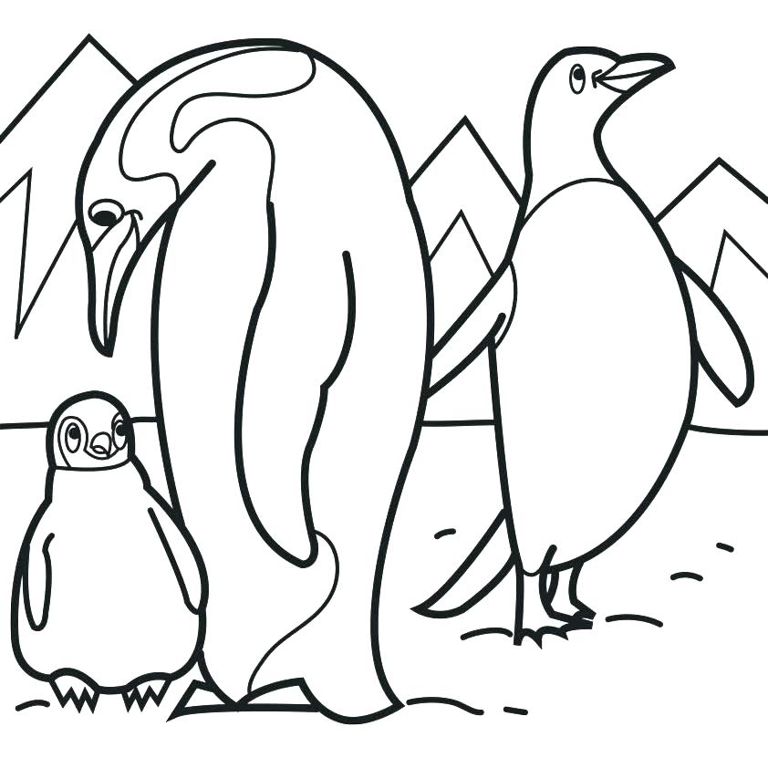 Coloring Pages Of Baby Penguins at GetDrawings | Free download
