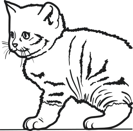 Coloring Pages Of Cute Cats at GetDrawings | Free download