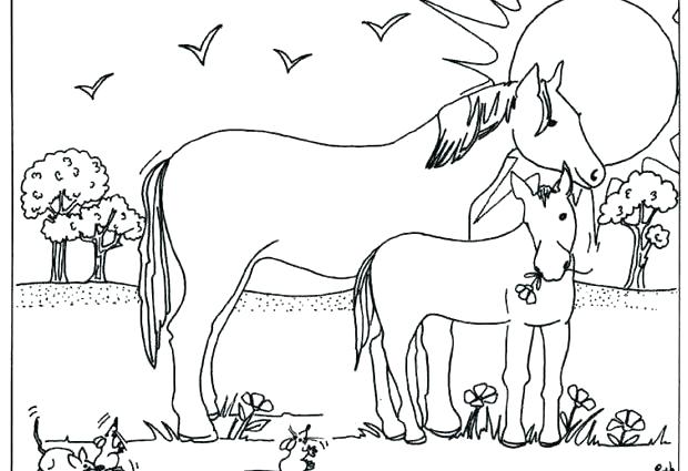 Coloring Pages Of Horses And Foals at GetDrawings | Free download