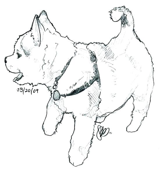 Coloring Pages Of Husky Puppies At Getdrawings Free Download