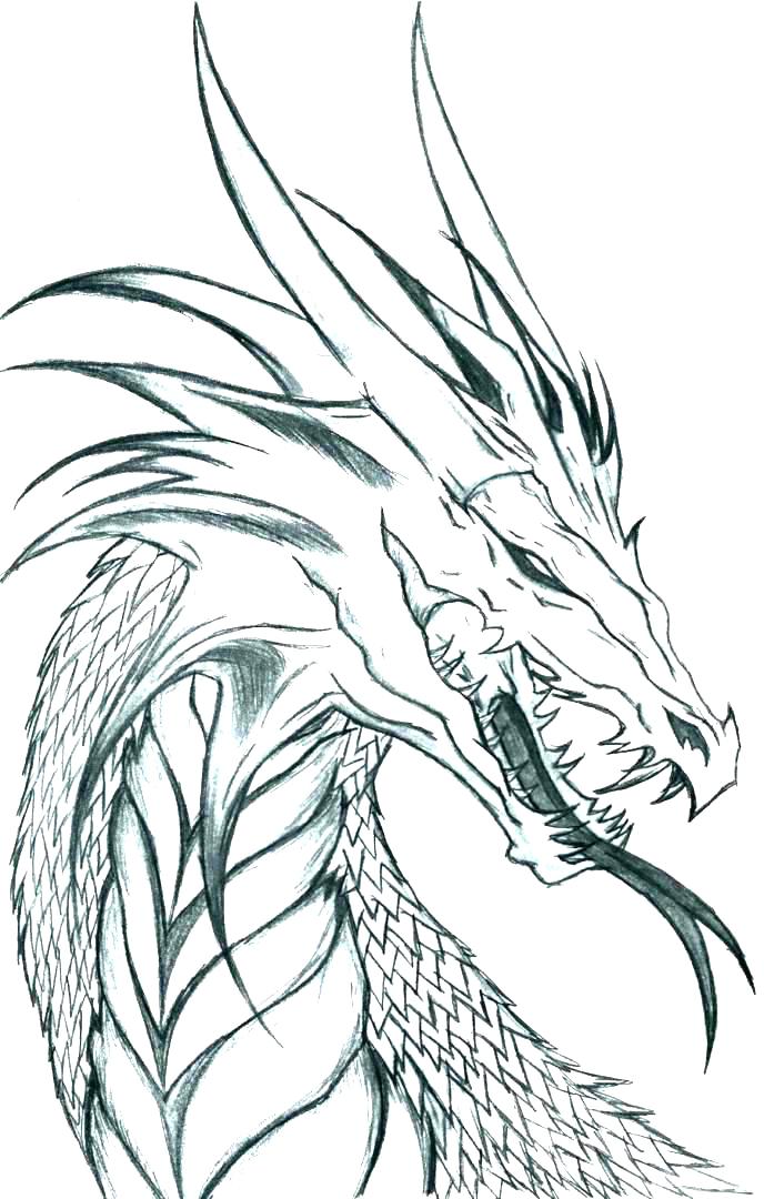 Coloring Pages Of Realistic Dragons at GetDrawings Free download