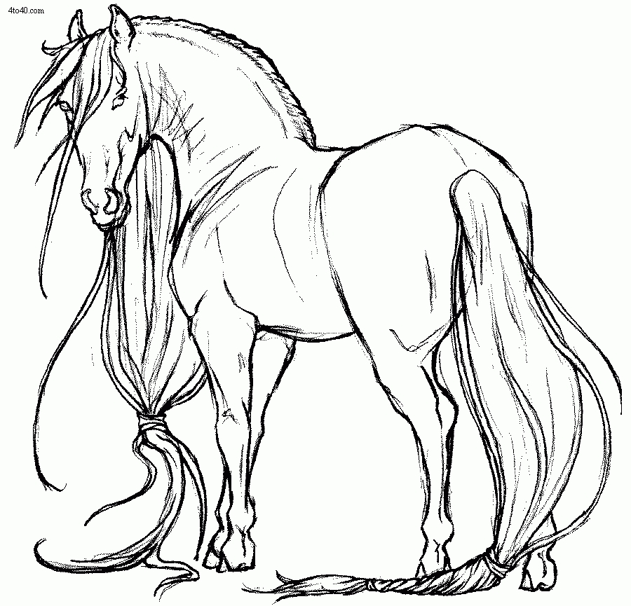 Featured image of post Realistic Horses Coloring Pages / Their long flowing mane and beautifully marked body excites kids to paint their a unique collection of pictures is presented on this website, ranging from realistic to animated settings.