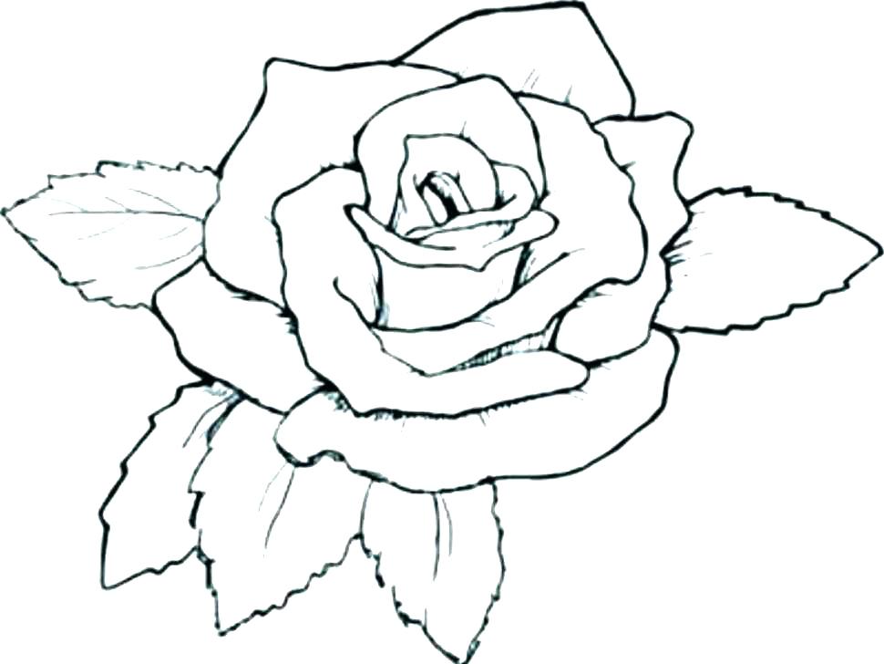 Coloring Pages Of Roses And Hearts at GetDrawings | Free download