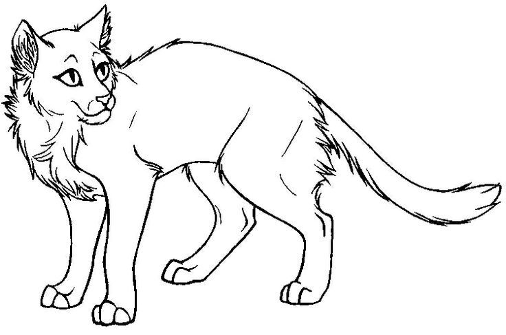 Coloring Pages Of Warrior Cats at GetDrawings | Free download