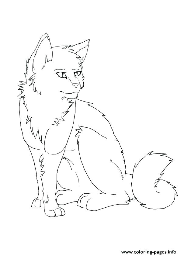 Firestar Warriors Cats Coloring Pages : Chibi Warriors By Noreydragon