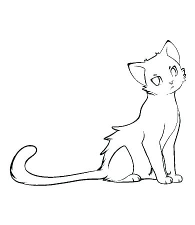 Coloring Pages Of Warrior Cats at GetDrawings | Free download