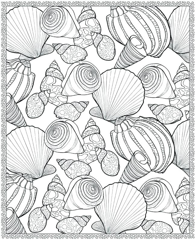Coloring Pages Sea Shells At GetDrawings Free Download