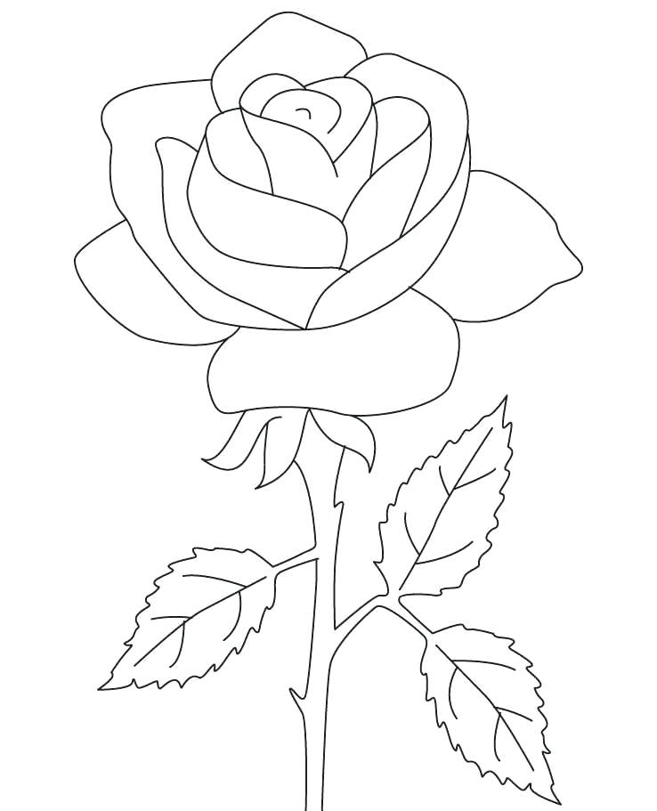 Compass Rose Coloring Page At GetDrawings Free Download