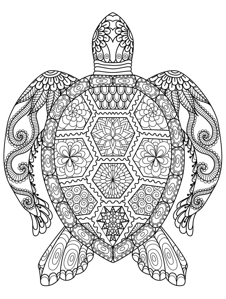 Featured image of post Cool Drawings To Color For Adults