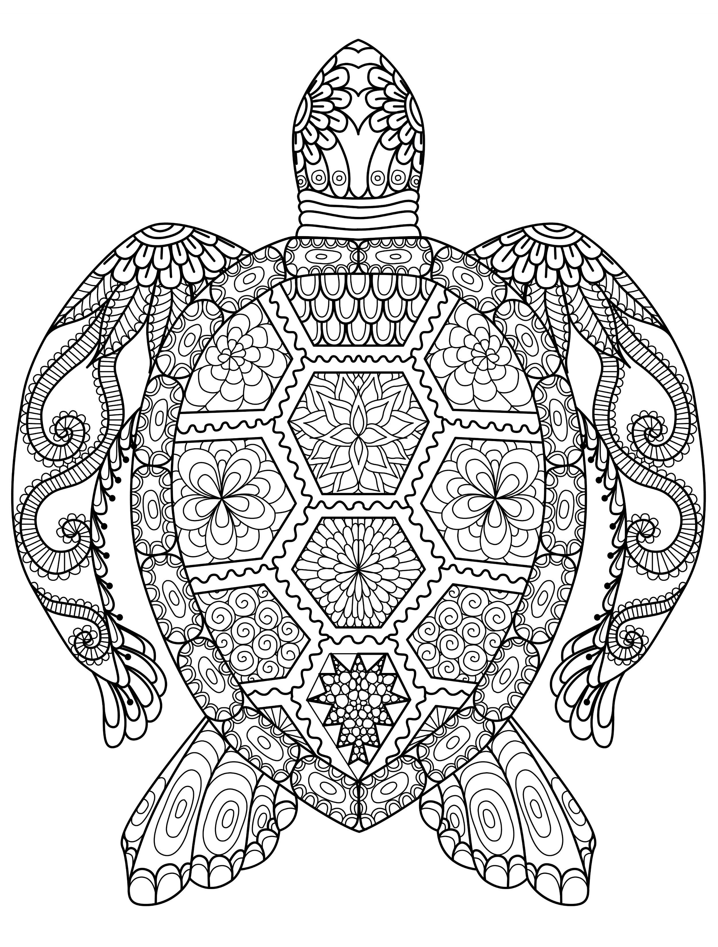 Coolest Coloring Books For Adults
