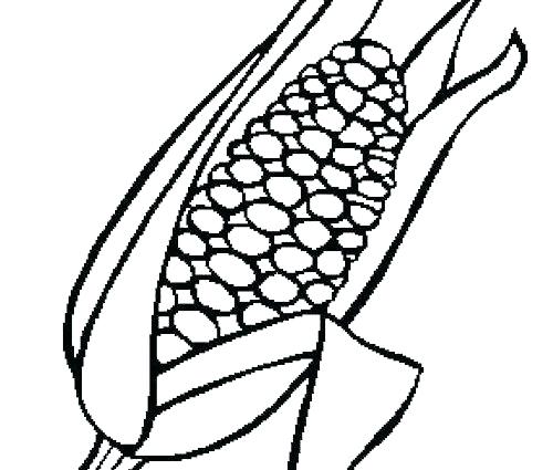 Corn On The Cob Coloring Page at GetDrawings.com | Free for personal