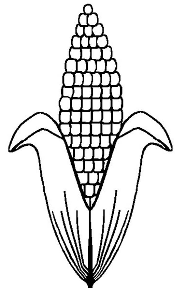 corn-on-the-cob-coloring-page-at-getdrawings-free-download
