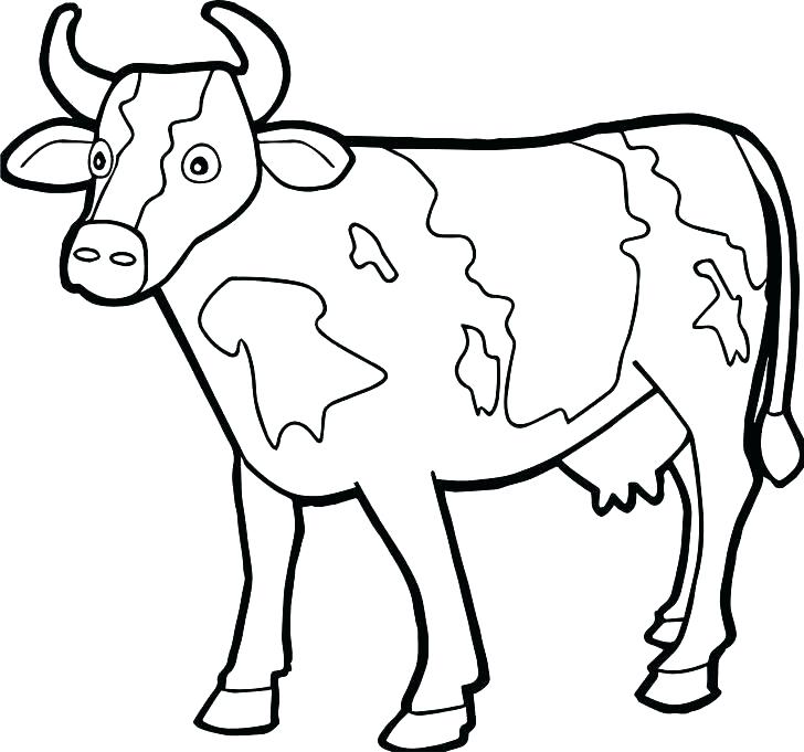 Cow Coloring Pages For Kids at GetDrawings Free download